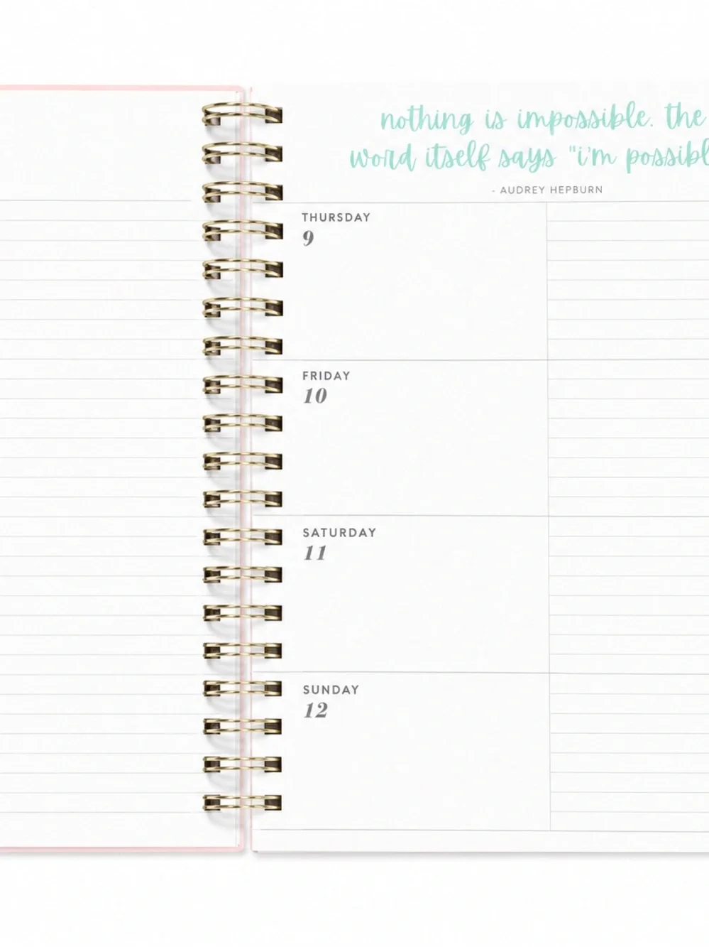 Eccolo stay organized